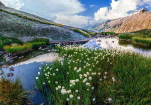 Fototapeta pogodny dzień w górach FP 5399