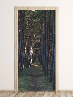 Fototapeta na drzwi leśna przecinka FP 6025