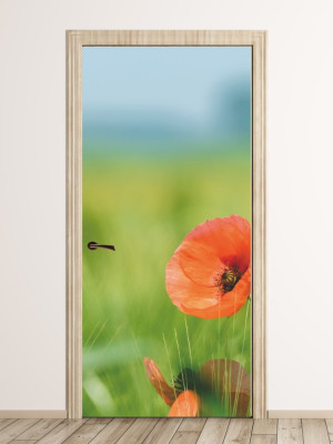 Fototapeta na drzwi mak w polu FP 5614