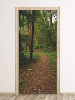 Fototapeta na drzwi droga przez las FP 6035