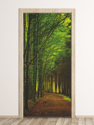 Fototapeta na drzwi droga przez las FP 6049