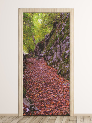 Fototapeta na drzwi jesienne liście FP 6042