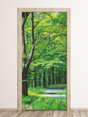 Fototapeta na drzwi park FP 6030