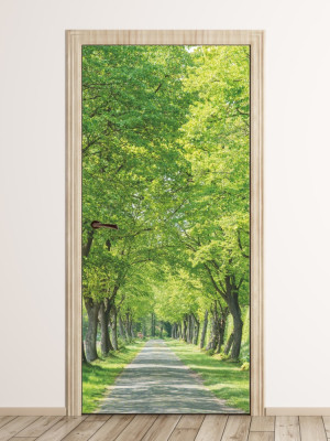 Fototapeta na drzwi parkowa aleja FP 6028