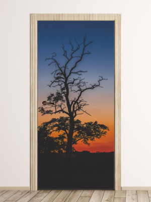 Fototapeta na drzwi sylwetka drzewa FP 6193