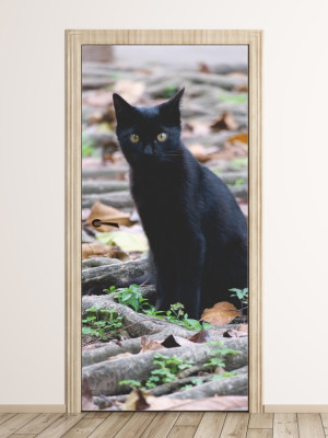 Fototapeta na drzwi czarny kot FP 6208