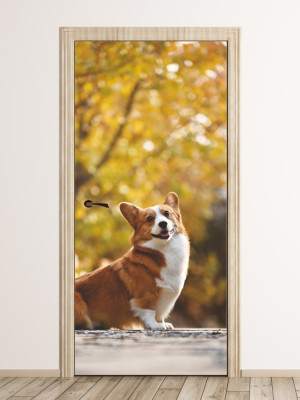 Fototapeta na drzwi pies FP 6216