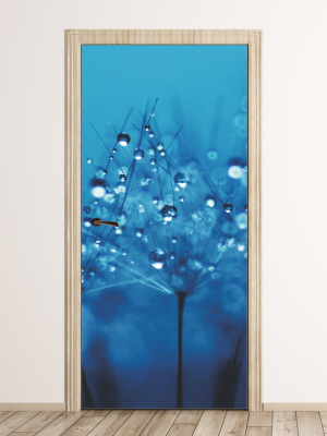 Fototapeta na drzwi krople FP 6287