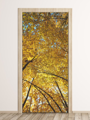 Fototapeta naklejka na drzwi las FP 6302