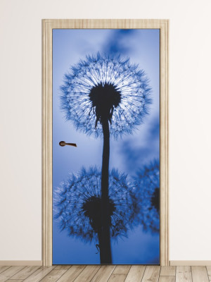 Fototapeta naklejka na drzwi Dmuchawce FP 6312