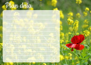 Tablica magnetyczna suchościeralna plan dnia mak 363