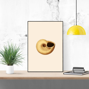 Plakat muszla 089