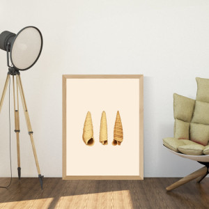 Plakat muszle 092