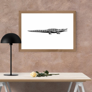 Plakat krokodyl 209