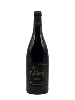 Pinot Nero Kollerhof Mazon 2021