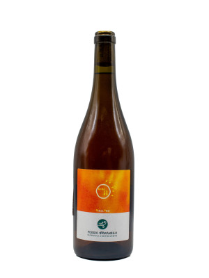 Gialloro Poggio Bbaranello 2022