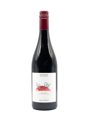Rosso Piceno Santa Barbara 'Ste' 2025