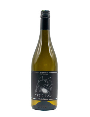 Sauvignon Santa Barbara 'Animale Celeste' 2025