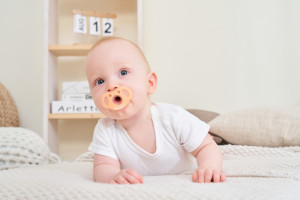 MOMBELLA Koala Soothie Daytime Pacifier