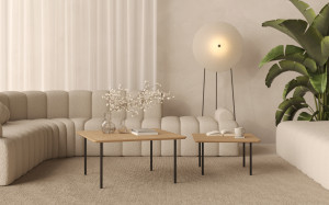 Couchtisch-Set 2-teilig im Loft-Stil
