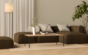 Minimalistischer Couchtisch mit Holzplatte und Metallbeinen im Loft-Stil