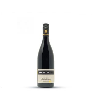 2023 Trollinger trocken "Alte Reben" 0,75 L - Weingut Wachtstetter