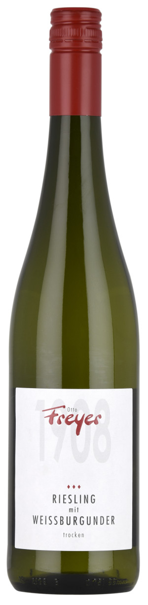 2024 Riesling mit Weissburgunder trocken 0,75 L - "Otto Freyer"