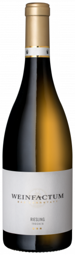 2024 Riesling trocken *** 0,75 L - Weinfactum
