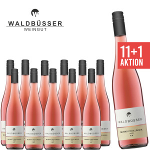12 x Muskat-Trollinger Rosé fruchtig 0,75 L - Weingut Waldbüsser