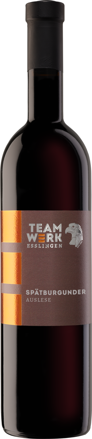 2022 Spätburgunder Auslese 0,75 L - TeamWerk Esslingen