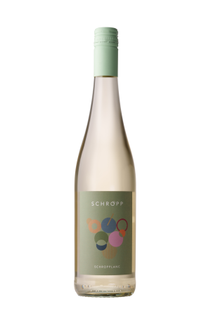 2021 SCHROPPLANC Blanc de Noir süß 0,75 L - Schropp Wein