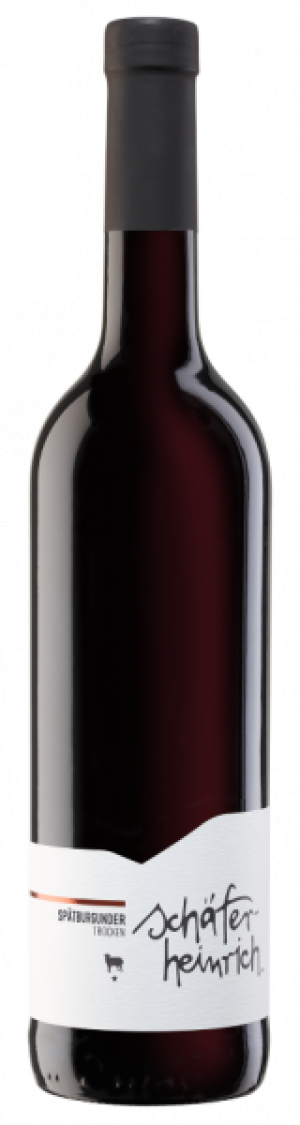 2023 Spätburgunder trocken * 0,75 L - Schäfer-Heinrich Ökologisches Weingut