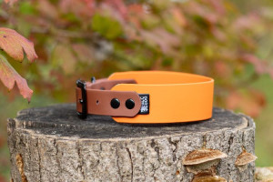 Wodoodporna Personalizowana Obroża dla Shih Tzu dla Jamnik miniaturowy dla Border Terrier dla Mops dla Jack Russell Terrier Biothane® Greyhound Pumpkin 