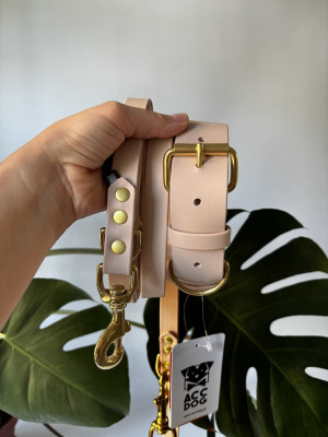 Wodoodporna Zestaw Beige | Obroża dla dużego psa 35-45 cm 38 mm+ smycz przepinana 300/19 mosiężne