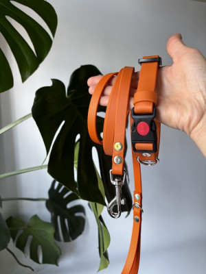Wodoodporna Zestaw Pumpkin | Obroża dla małego psa XS 26-34 cm 19 mm+ smycz miejska 150/13 chromowane