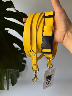 Wodoodporna Zestaw Yellow | Obroża dla psa S 32-40 cm 25 mm+ smycz przepinana 500/16 mosiężne