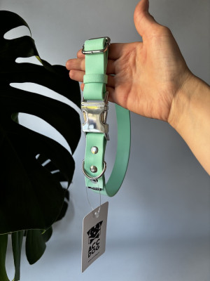 Obroża dla psa metalowa klamra Soft Mint L | 25 mm | 44-54 cm | srebrna