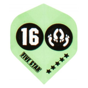 Five-Star Flight 16 Feet