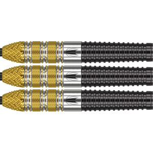 Raymond Van Barneveld Rvb95 G4 95% Swiss 23 Gram Steeltip