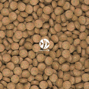 TROPICAL Supervit Tablets B 50g (rozważany) - Wieloskładnikowy, podstawowy pokarm w postaci tonących tabletek z beta-glukanem