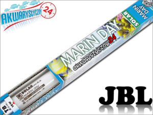 JBL MARIN DAY SOLAR T8 105cm (1047mm) 38W - Świetlówka T8 do akwarium morskiego
