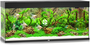 JUWEL Rio 240 HeliaLux Spectrum (2x belka) Czarny - Akwarium z pełnym wyposażeniem bez szafki, 5 kolorów do wyboru