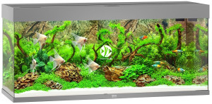 JUWEL Rio 240 HeliaLux Spectrum (2x belka) Szary - Akwarium z pełnym wyposażeniem bez szafki, 5 kolorów do wyboru