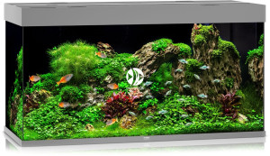 JUWEL Rio 350 LED Szary - Akwarium z pełnym wyposażeniem bez szafki, 5 kolorów do wyboru