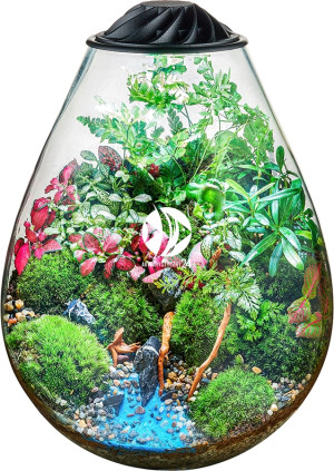 CHIHIROS Eco Ping - Zestaw: Terrarium + Lampka