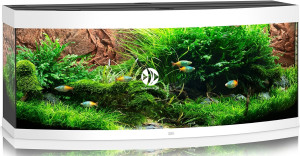 JUWEL Vision 450 LED Biały - Akwarium z pełnym wyposażeniem bez szafki, 3 kolory do wyboru
