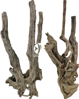 ROTALA Premium Amazon Wood 1szt L 4-5kg - Naturalny korzeń do akwarium