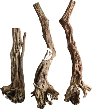ROTALA Premium Canyon Wood 1szt L 4-5kg - Dekoracyjne korzenie do akwarium