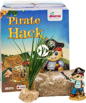 DIVERSA Zestaw Pirate Hack 10L - Zestaw akwariowy dla dziecka: Akwarium Roślinka Żwirek Ozdoba