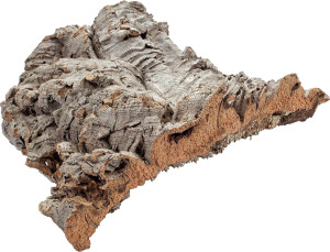 Happet Korek Płaty 1kg - Płaty korkowe do terrarium